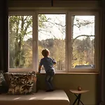 Le Havre De La Foret