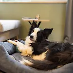 Le Havre De La Foret Nyaraló *