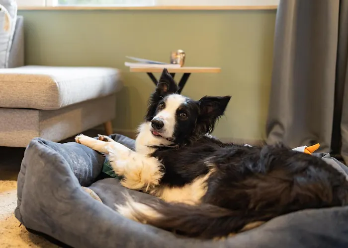 Le Havre De La Forêt Casa de Férias *